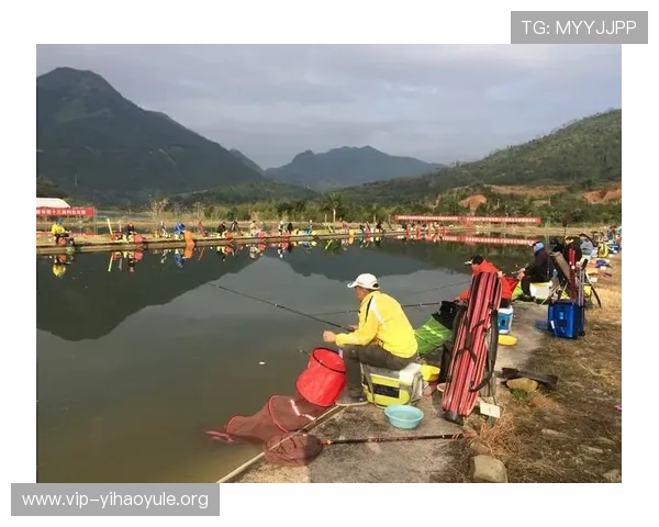 壹号平台注册入口:官方推荐的注册入口地址及避免钓鱼网站的安全提示